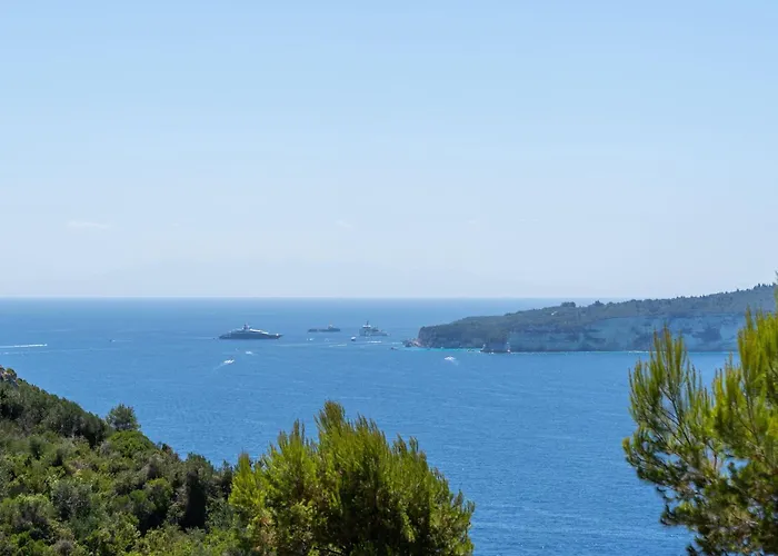 Aphitriti Oxomeria *